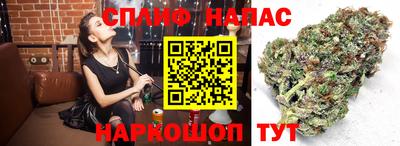 2c-b Пугачёв
