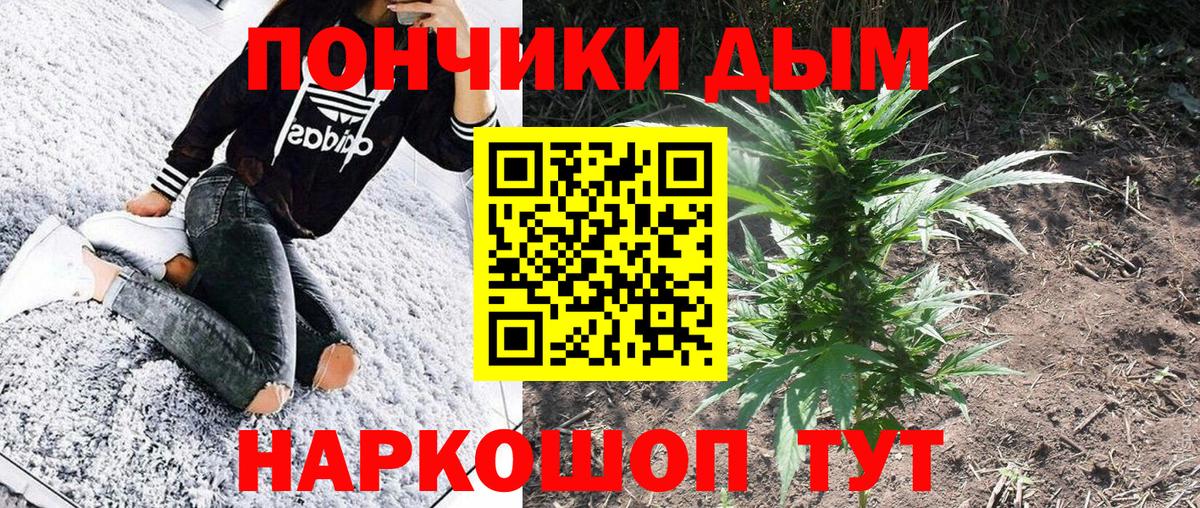 Бошки марихуана SATIVA & INDICA Фрязино